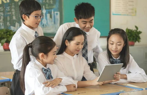 哈尔滨市启动暑期中小学生校外托管服务，为期14天且自愿参与